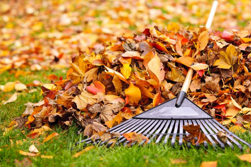 Leaf Raking Technique