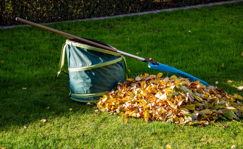 Effective Leaf Disposal Methods