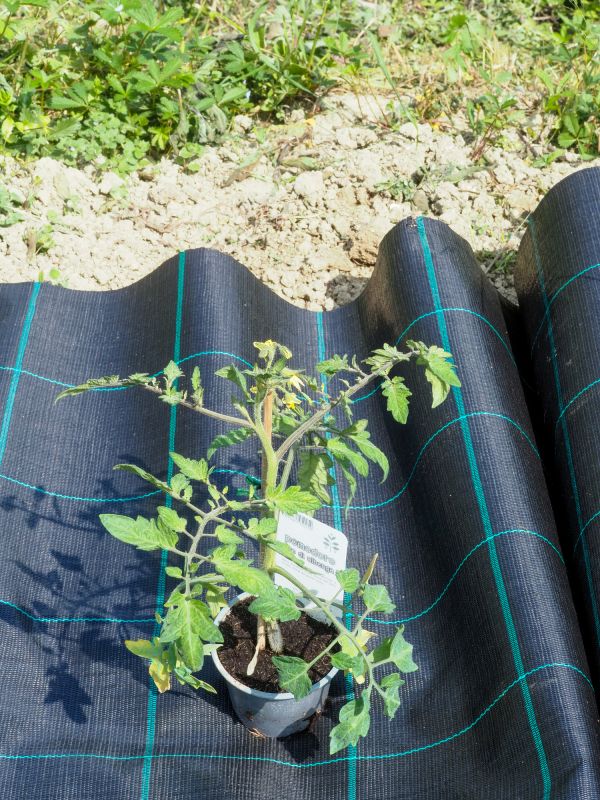 Garden Fabric Installation