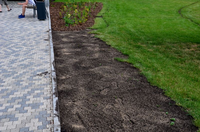 Landscapings with Hardscapes