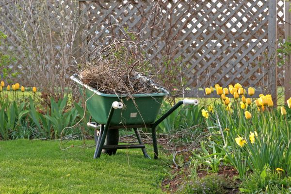 Flower Bed Cleanup Service in Dacula