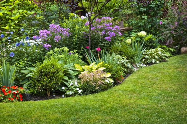 Flower Bed Service in Dacula