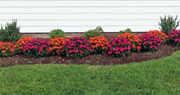 Flower Bed Weeding Service in Dacula