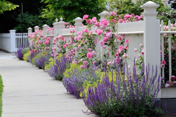 Garden Handyman Service in Dacula
