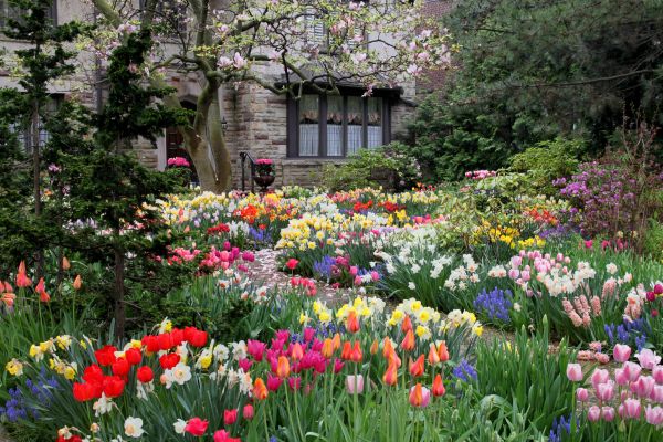 Garden Maintenance Service in Dacula