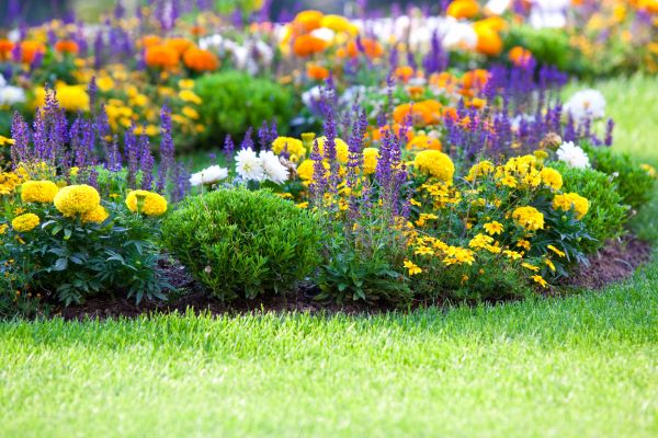 Garden Installation in Dacula