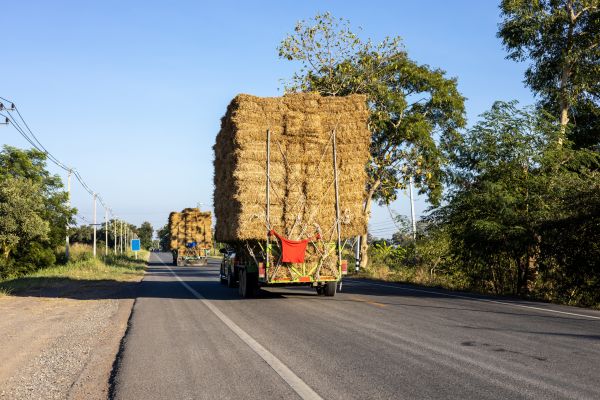 Pine Straw Delivery