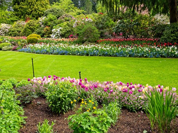 Residential Landscape Design in Dacula