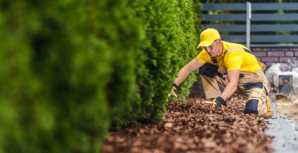 Cypress Mulch Installation in Dacula