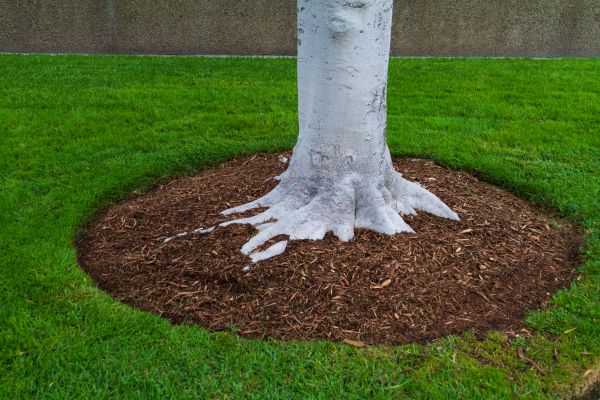 Brown Mulch Installation in Dacula