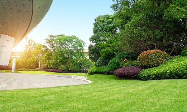 Business Landscape Design in Dacula