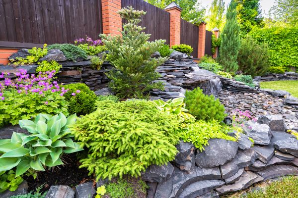 Backyard Revamping