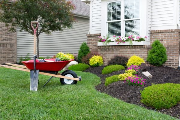 Tree And Shrub Planting in Dacula