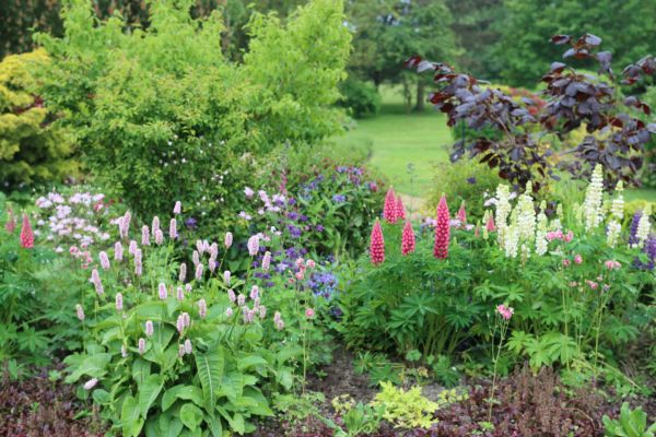 Flower Bed Planting in Dacula