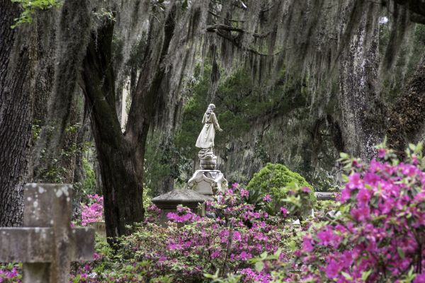 Cemetery Landscaping in Dacula