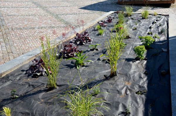 Landscape Fabric Installation in Dacula