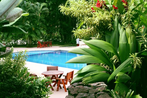Pool Area Landscaping in Dacula