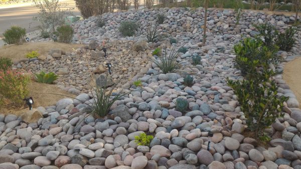Yard Xeriscaping Service