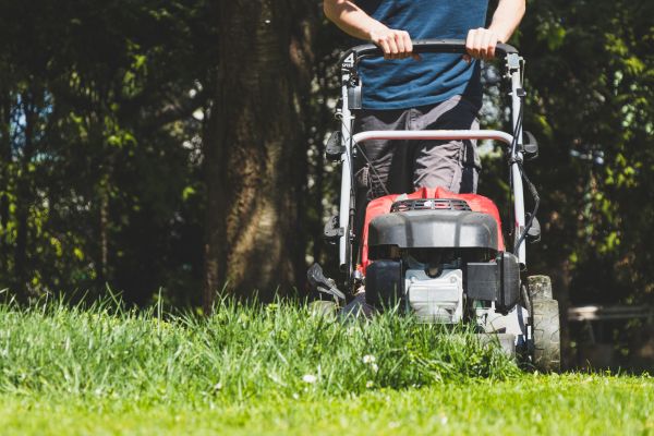 Garden Trimming Service in Dacula