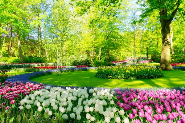 Flower Landscaping in Dacula