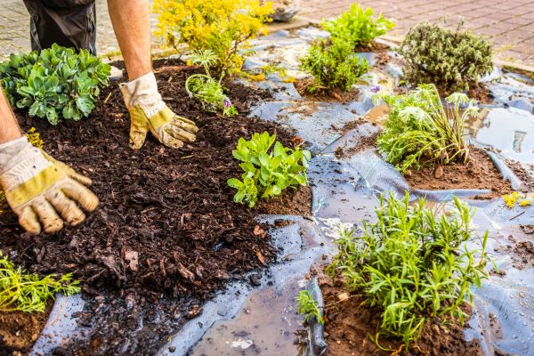 Mulch Fabric Installation in Dacula