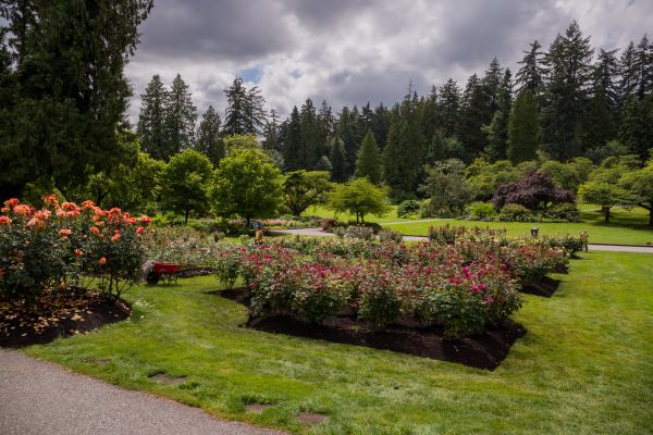 Flower Garden Landscaping in Dacula