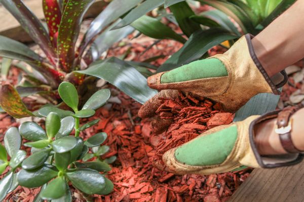 Residential Mulching in Dacula