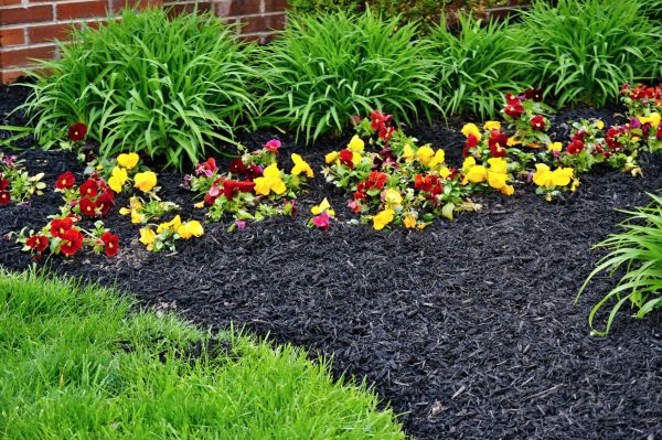 Apartment Mulching in Dacula